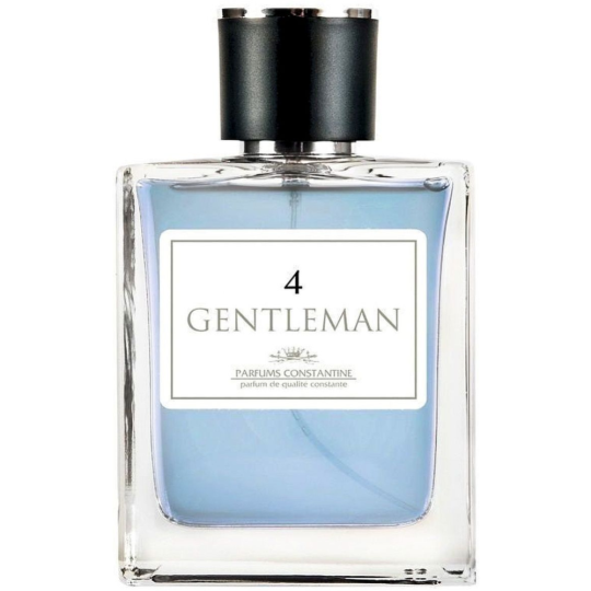 Туалетная вода мужская «Parfums Constantine» Gentleman 4, 100 мл