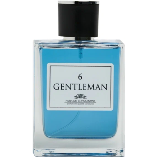 Туалетная вода «Parfums Constantine» мужская, Gentleman 6, 100 мл