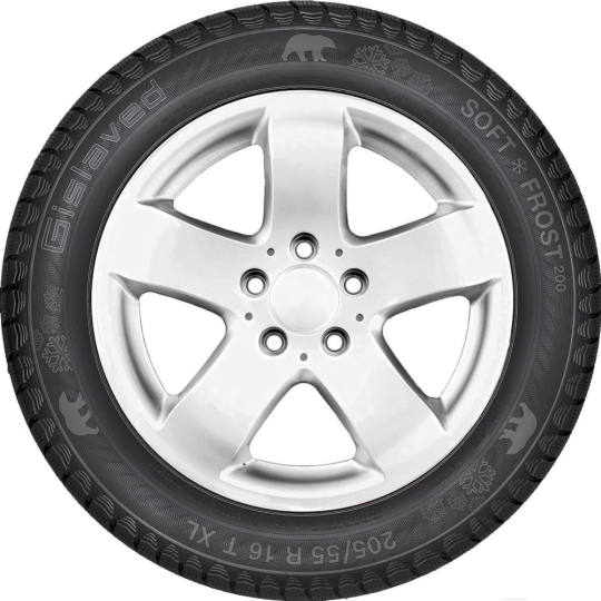 Зимняя шина «Gislaved» Soft Frost 200, 195/65R15, 95T