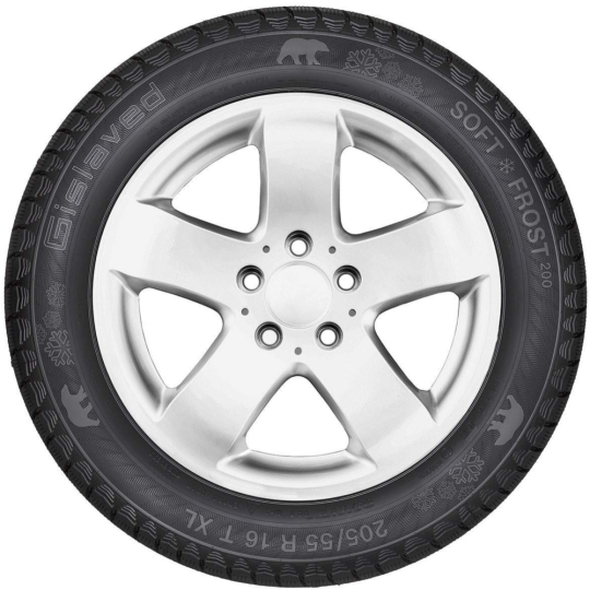 Зимняя шина «Gislaved» Soft Frost 200, 205/55R16, 94T