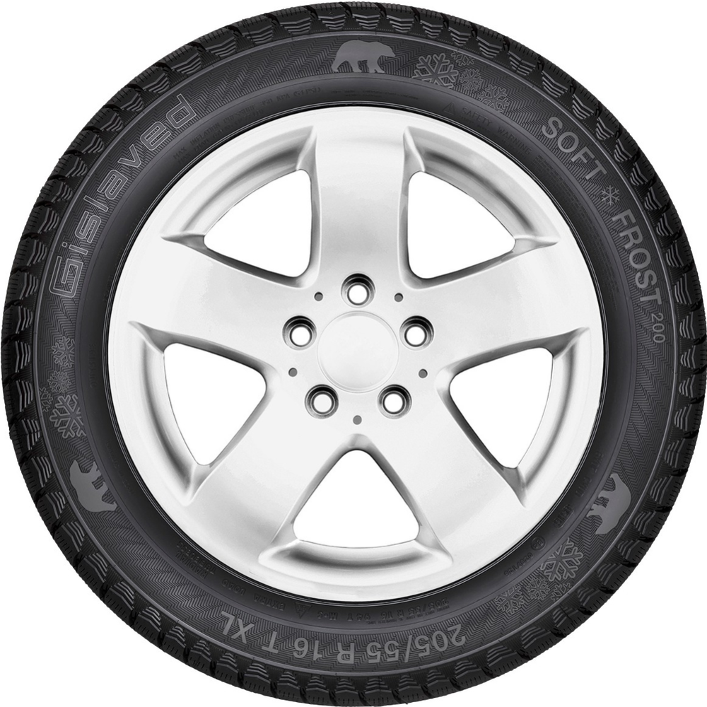 Зимняя шина «Gislaved» Soft Frost 200, 205/50R17, 93T