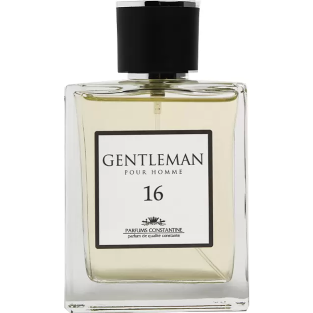 Туалетная вода муж. «Parfums Constantine»Private Collection Gentleman 16, 100 мл