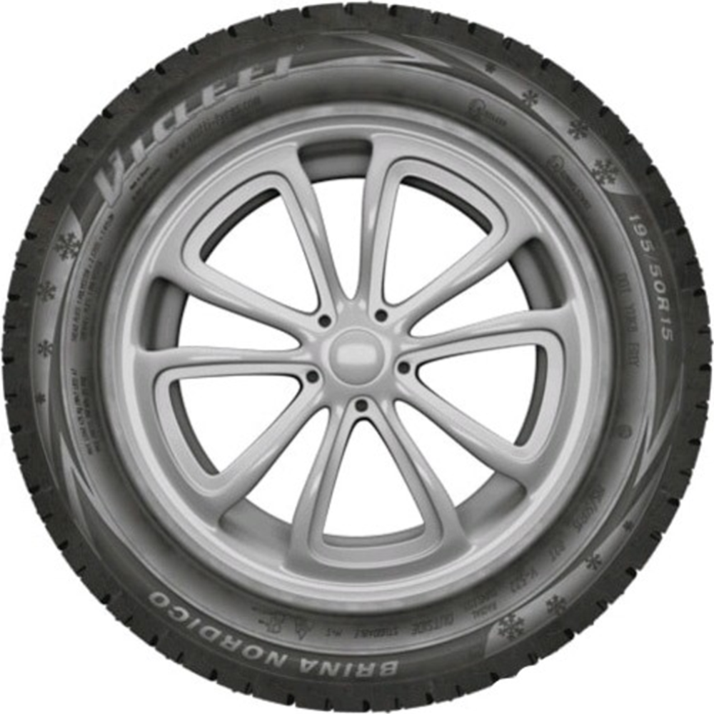 Зимняя шина «Viatti» Brina Nordico, V-522, 195/60R15, 88T, шипы