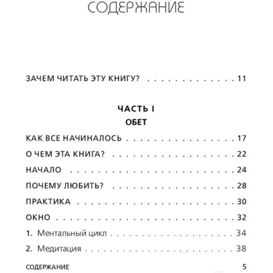 «ЛЮБИ СЕБЯ. Словно от этого зависит твоя жизнь» Равикант К.