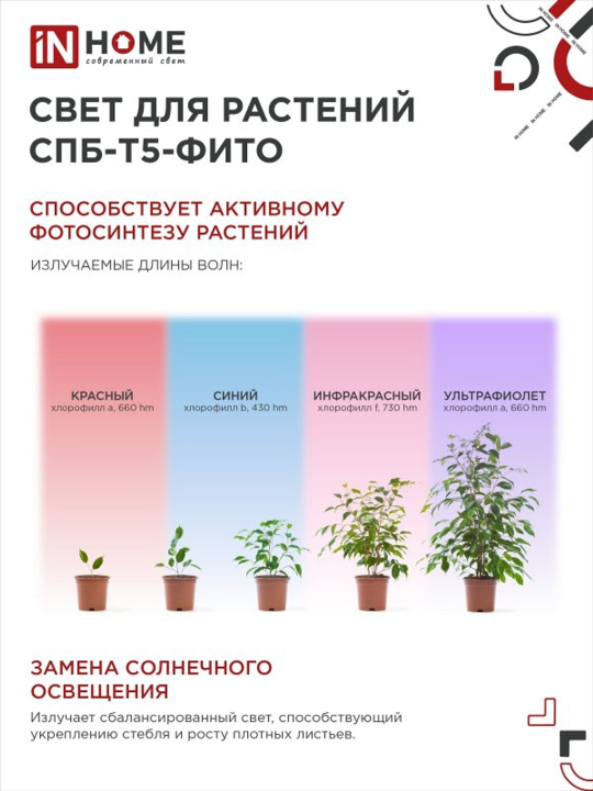 Фитолампа для растений светодиодная СПБ-Т5-ФИТО 10Вт 570 мм IN HOME