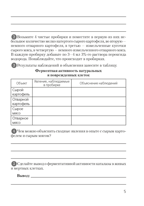 Тетрадь для лабораторных и практических работ по биологии для 11 класса. Базовый уровень 3-е издание 2023