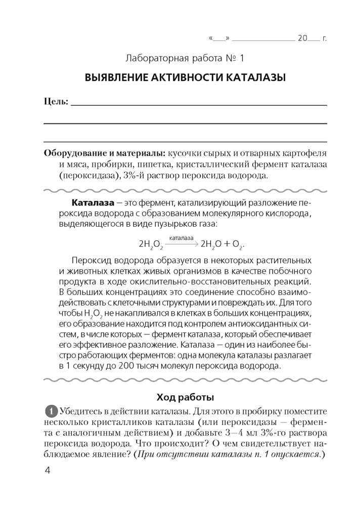 Тетрадь для лабораторных и практических работ по биологии для 11 класса. Базовый уровень 3-е издание 2023