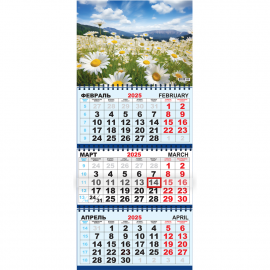 Квартальный календарь на 2025 год "Полевые цветы. Ромашки