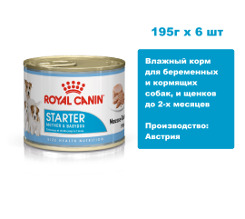 Royal Canin Starter Mother & Babydog (мусс) 195г х 6 шт. Влажный корм для беременных и кормящих собак, и щенков до 2-х месяцев