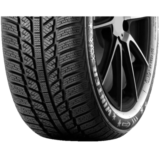 Зимняя шина «Evergreen» EW62, 215/65R15, 96H