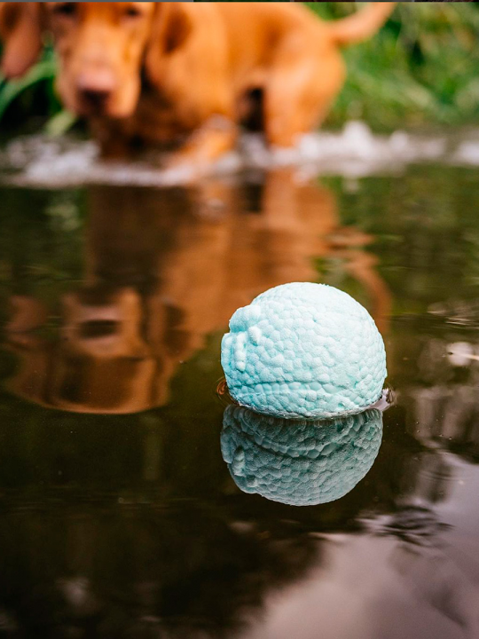 Мяч для собак Explorer Dog, бирюзовый, 8 см (арт. TED134)