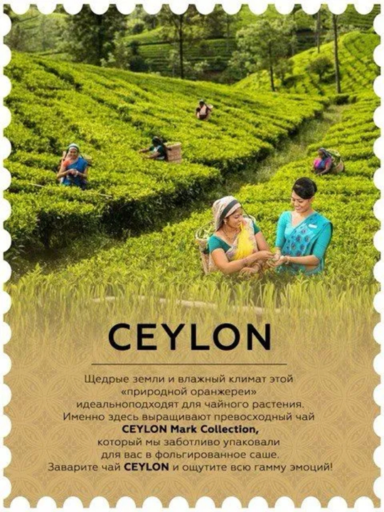 Mark Collection CEYLON / Эко упаковка 100пак.*2гр. / Чай в пакетиках черный