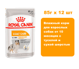 Royal Canin Coat Care Adult Dog, 85 г х 12 шт.  Влажный корм для взрослых собак от 10 месяцев с тусклой и сухой шерстью