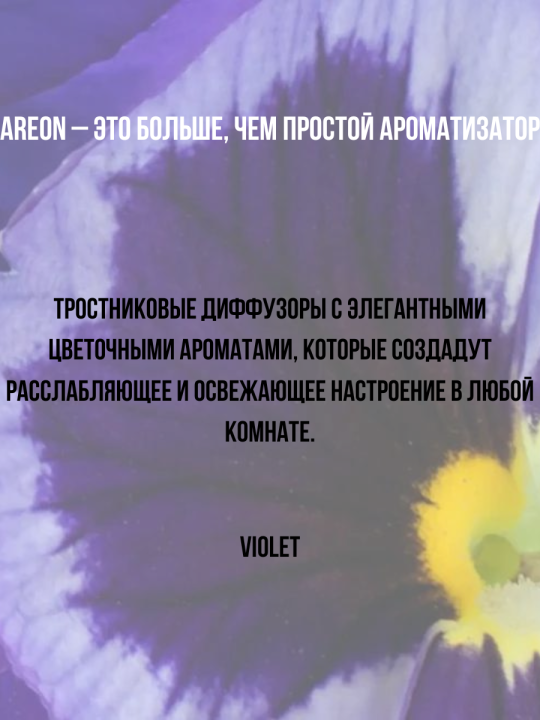 Парфюм для дома диффузор Areon Garden Violet 50мл