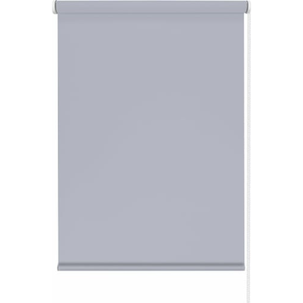Рулонная штора «Эскар» Лайт, 76850981601, серый, 98х160 см
