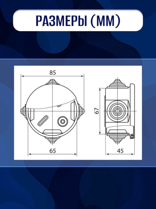 Распаячная коробка ОП D65х40мм, крышка, сосна, IP54, 4вх. TDM SQ1401-0701(10)