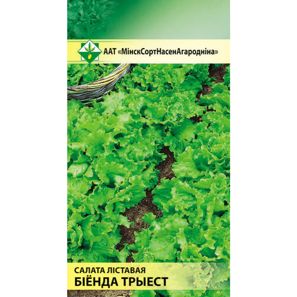 Семена салата «Бионда Триест» листовой, 1 г #0