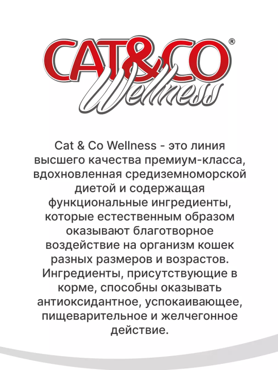 Корм для котят Adragna Cat&co Wellness Киттен Курица с рисом 0,4кг