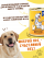 DOYZER Корм консервированный мясной для собак с индейкой, комплект 10 консервов (338гр)