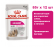 Royal Canin Exigent Adult, 85 г х 12 шт.  Влажный корм для взрослых собак, привередливых в питании