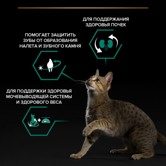 Корм для кошек «Pro Plan» Sterilised Adult OptiRenal, лосось, 1.5 кг