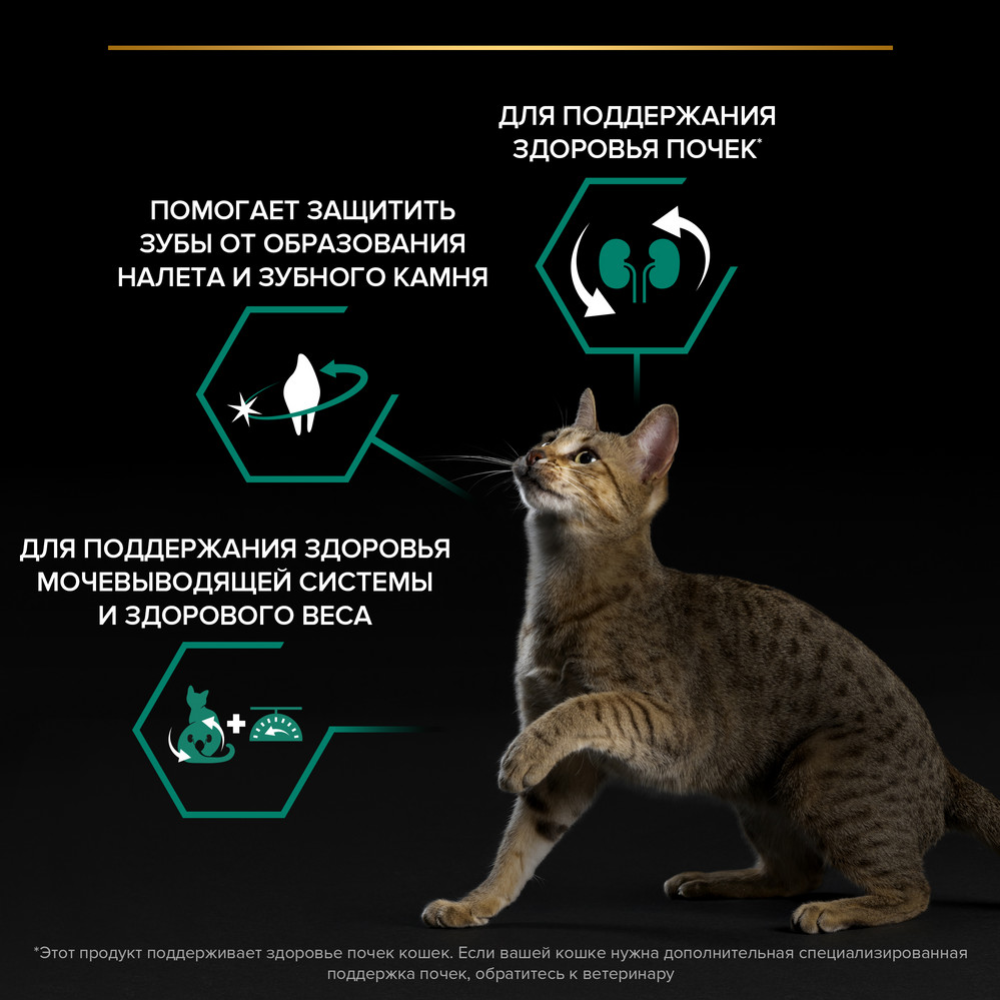 Корм для кошек «Pro Plan» Sterilised Adult OptiRenal, лосось, 10 кг