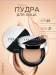 Компактная пудра для лица Pro-Touch Powder SPF25 (No.21)