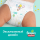 Подгузники-трусики детские «Pampers» Pants, размер 5, 12-17 кг, 66 шт