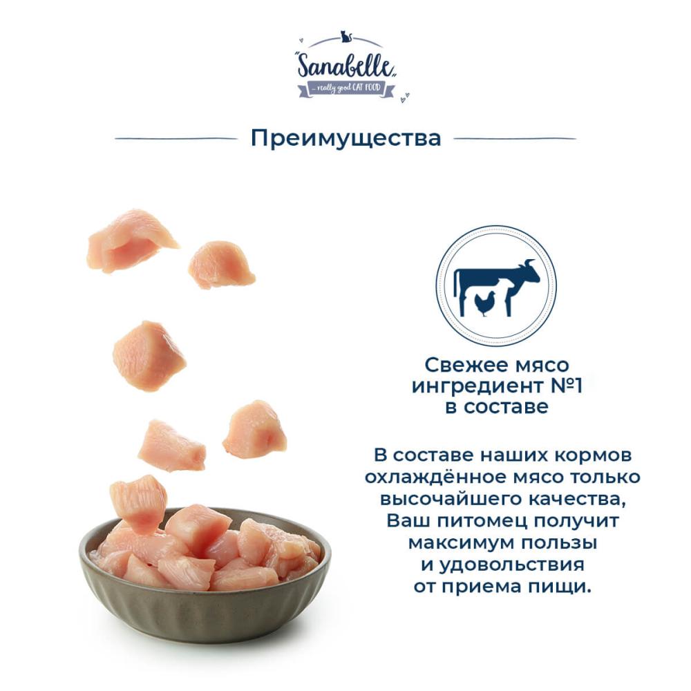 Корм для кошек сухой Sanabelle Adult (Санабелль Эдалт с Форелью) 10 кг