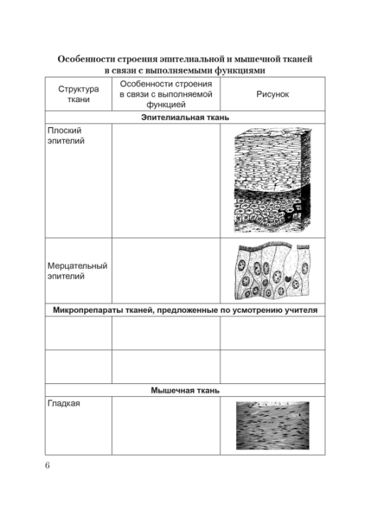 Биология. 9 класс. Тетрадь для лабораторных и практических работ по биологии для 9 класса. Школьная программа (2024) Рогожников О. Н., "Сэр-вит" С ГРИФОМ