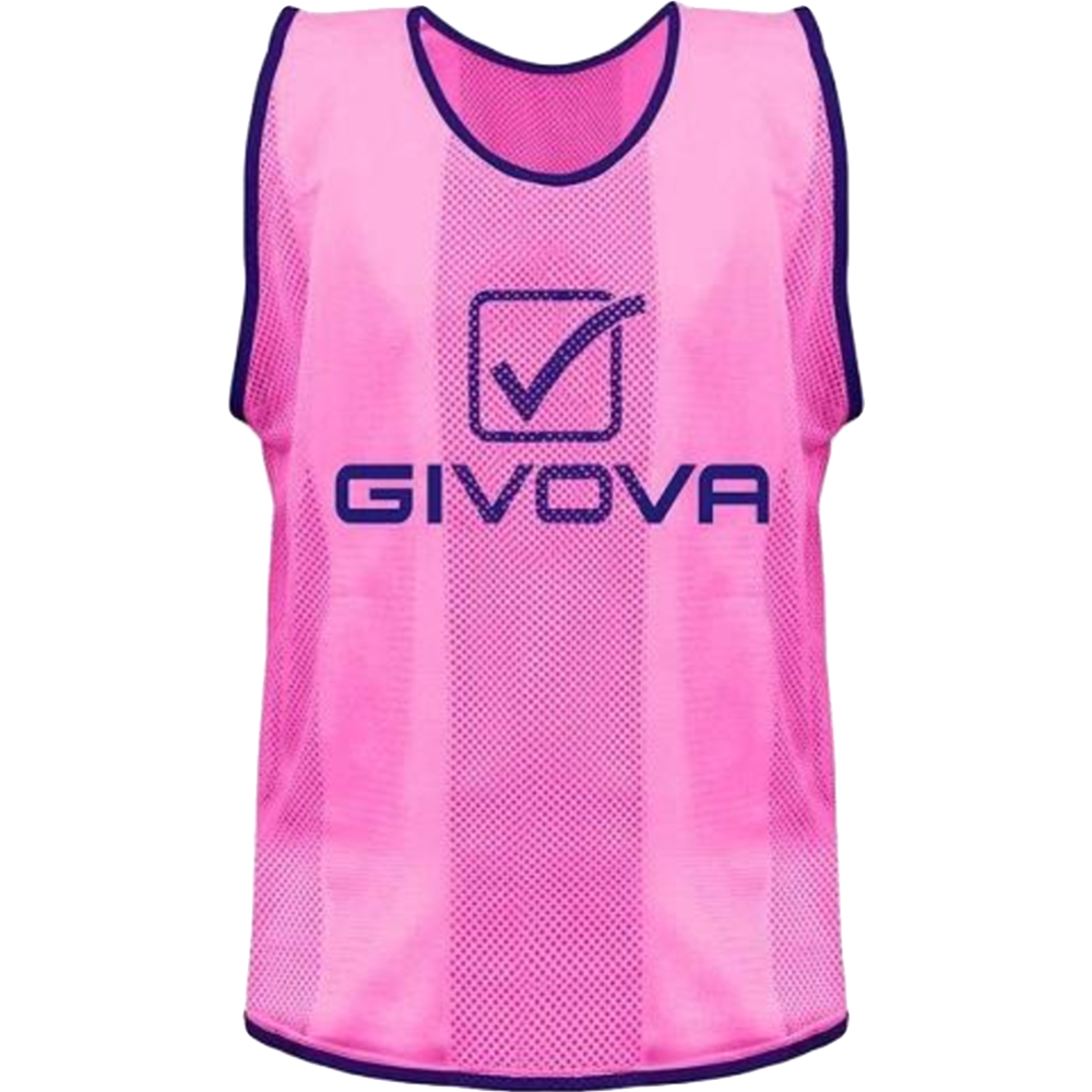 Манишка спортивная «Givova» Casacca Pro Allenamento, размер S, розовый, CT01