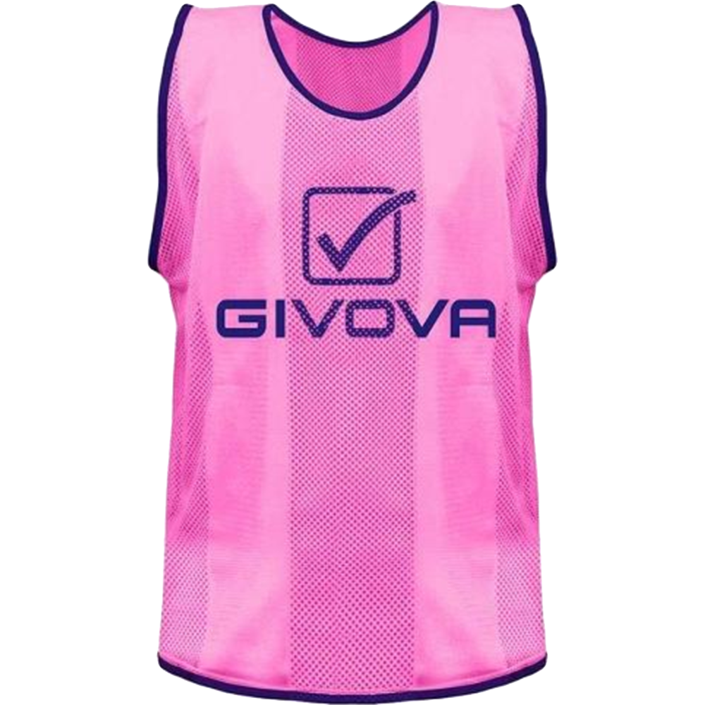 Манишка спортивная «Givova» Casacca Pro Allenamento, размер L, розовый, CT01