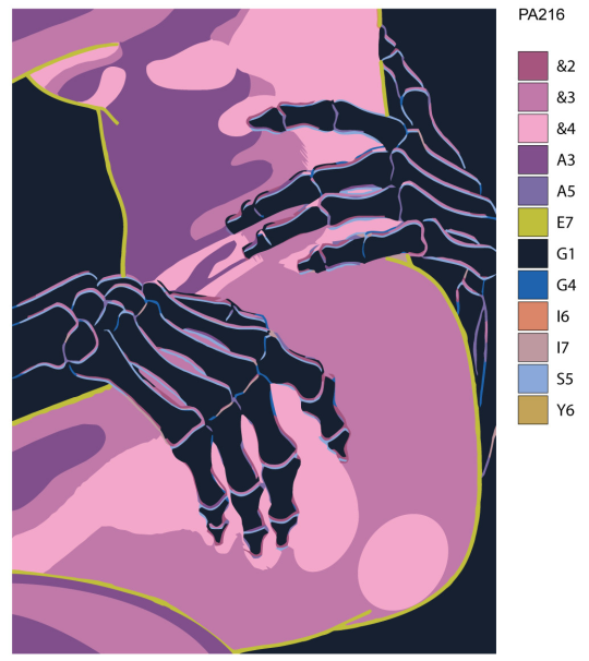 Картина по номерам SLAVINA Скелет с девушкой PA216 (30 x 40 см)