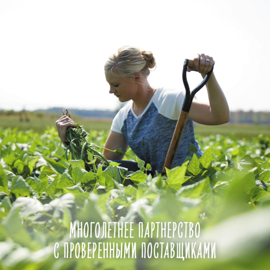 Пюре овощное «Gerber» Organic, зеленый горошек, брокколи и кабачок, 125 г