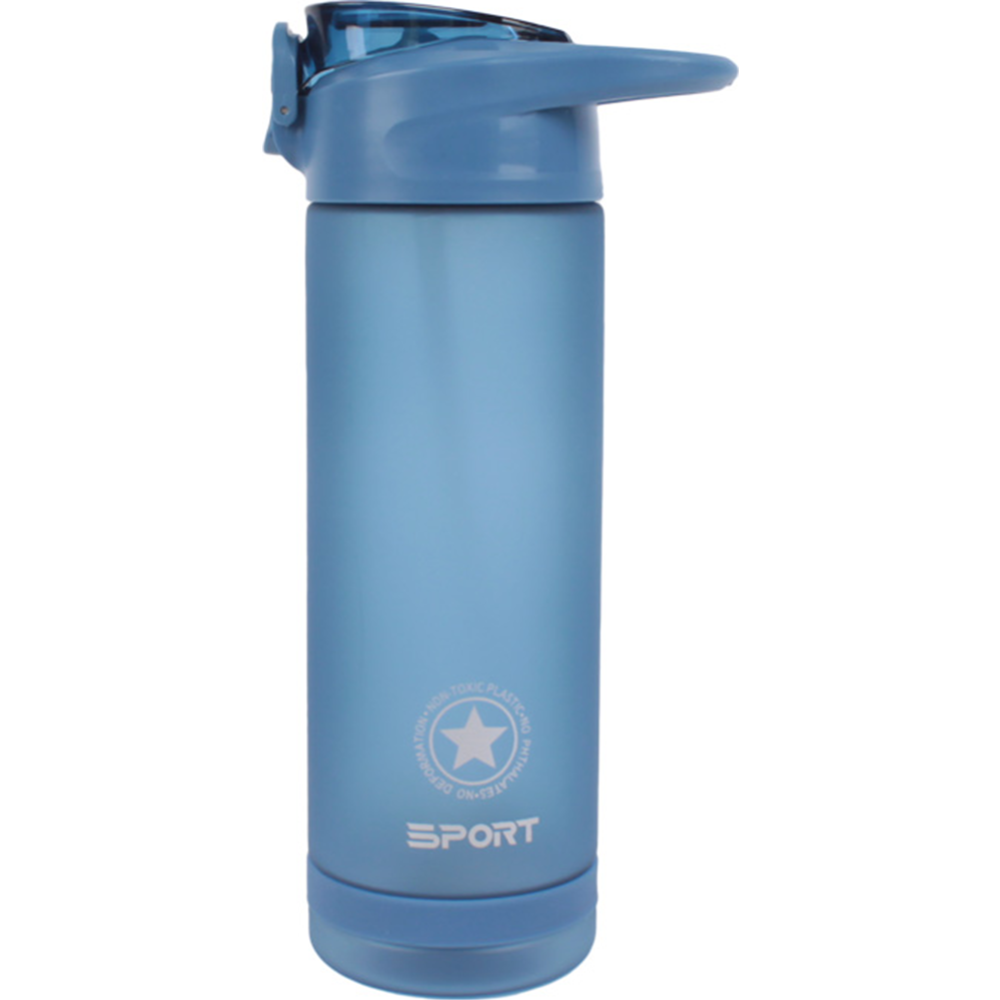 Бутылка для воды «Darvish» DV-H-1605-1, 750 мл
