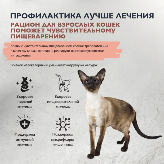 Корм для кошек «Brit» Care Sensitive Healthy Digestion, 5066148, индейка/ягненок, 1.5 кг