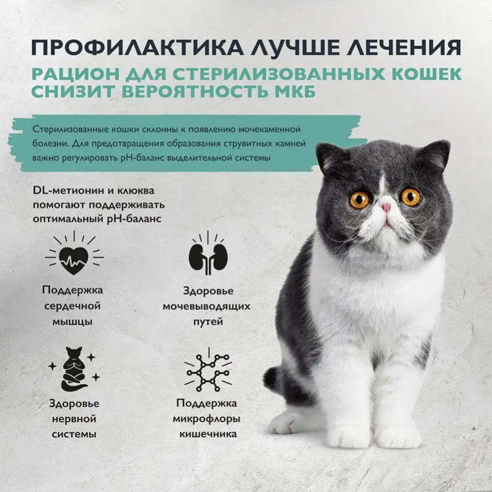 Корм для кошек «Brit» Care Sterilised Urinary Care, 5066193, индейка/утка, 400 г