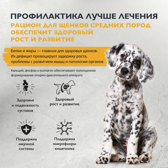 Корм для щенков «Brit» Care Puppy&Junior M Healthy Growth, 5066292, индейка/утка, 3 кг