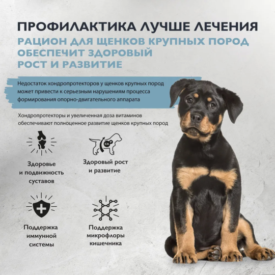 Корм для щенков «Brit» Care Puppy&Junior L Healthy Growth, 5066322, индейка/ягненок, 3 кг