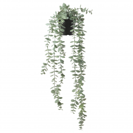 FEJKA Искусственное растение в горшке, подвесное, эвкалипт, 9 см
