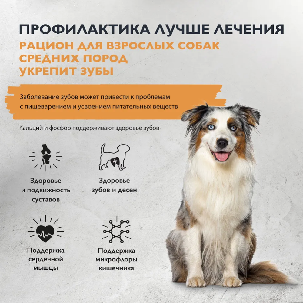 Корм для собак «Brit» Care Adult M Dental Health, 5066384, индейка, 3 кг