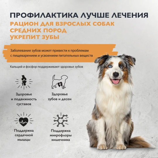 Корм для собак «Brit» Care Adult M Dental Health, 5066384, индейка, 3 кг