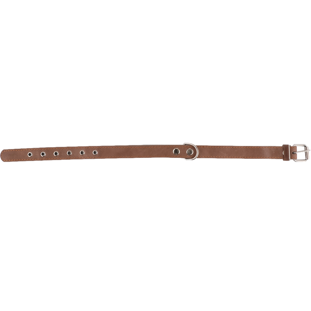 Ошейник «Хампо» кожаный, коричневый, 2.5х43-55 см, кольцо посередине, подшитый