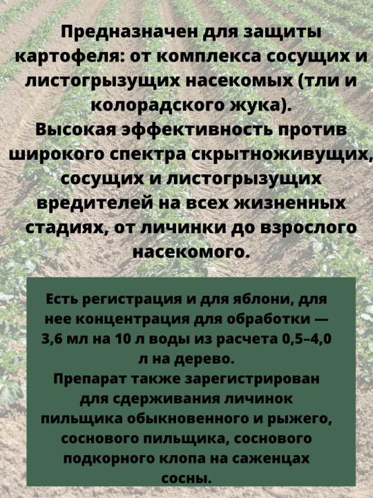 Эфория КС инсектицид, для борьбы с гусеницами, личинками, жуками 3,6 мл