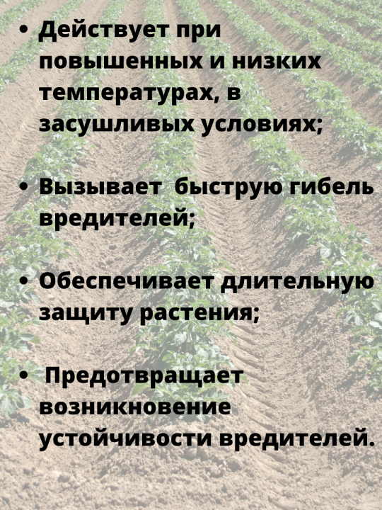 Эфория КС инсектицид, для борьбы с гусеницами, личинками, жуками 3,6 мл