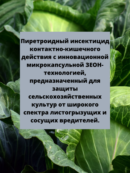 Каратэ Зеон МКС, защита растений от клещей и других вредителей 2 мл х 5 шт