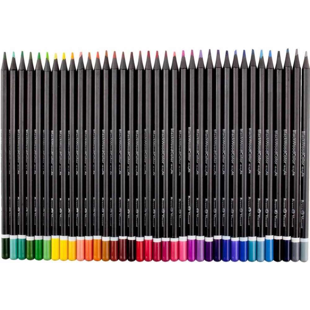Набор цветных карандашей «Bruno Visconti» BlackWoodColor, 30-0101, 36 цветов