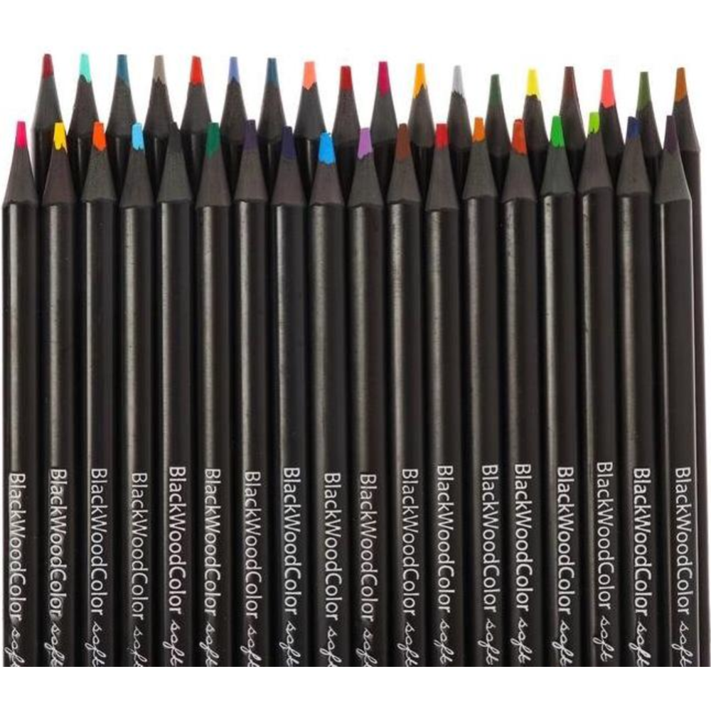 Набор цветных карандашей «Bruno Visconti» BlackWoodColor, 30-0101, 36 цветов